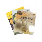 花语石温暖童年绘本（全3册，送给3-8岁性格形成关键期孩子的心灵成长礼物，在文字中让孩子学会思考生活；在绘画上给予孩子最纯美的艺术世界，以此来建构孩子健康、快乐的精神基础及自然、艺术的高端审美）