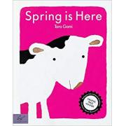 Spring is Here  Board book by Taro Gomi 小牛的春天
