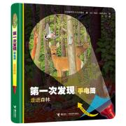 第一次发现·手电筒：走进森林（精装）