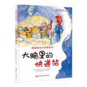 德国精选科学图画书：大脑里的快递站